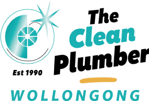 The Clean Plumber
